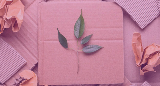 Caixa de papelão para e-commerce, uma embalagem sustentável.